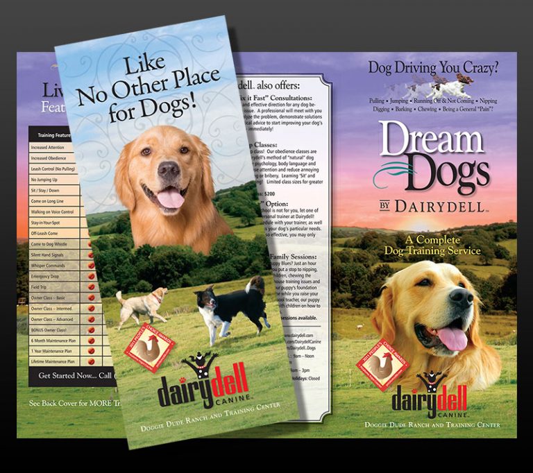 Brochure Design for Dog Trainer Grey Visual  Design